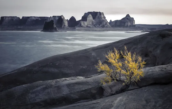 Море, природа, берег