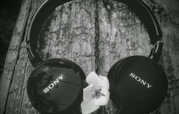 Наушники, красиво, sony