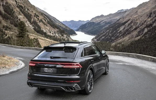 Горы, Audi, TDI, вид сзади, кроссовер, ABT, 2019, SQ8