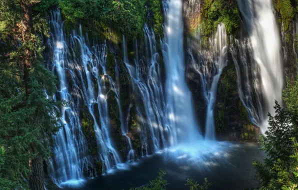 Картинка лес, озеро, водопад, США, McArthur-Burney Falls