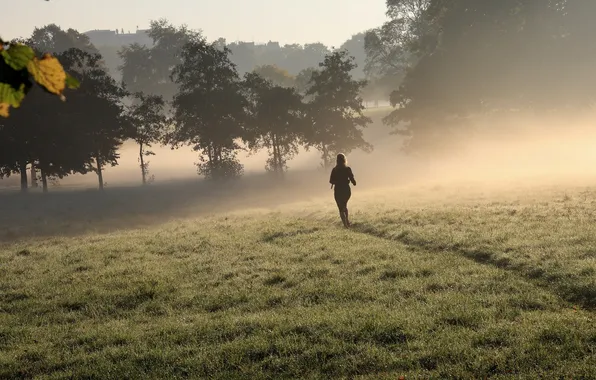 Картинка поле, туман, утро, прогулка