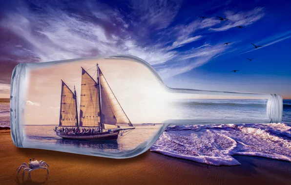 Песок, море, волны, пляж, небо, стекло, облака, птицы