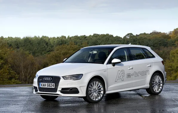 Белый, фото, Audi, Ауди, автомобиль, e-tron, Sportback, 2015