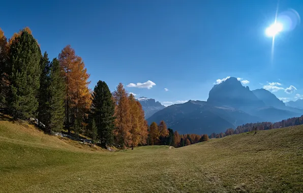 Картинка осень, лес, небо, солнце, деревья, горы, склон, Альпы