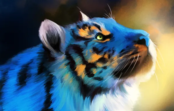 Тигр, фон, голубой, рисунок, голова