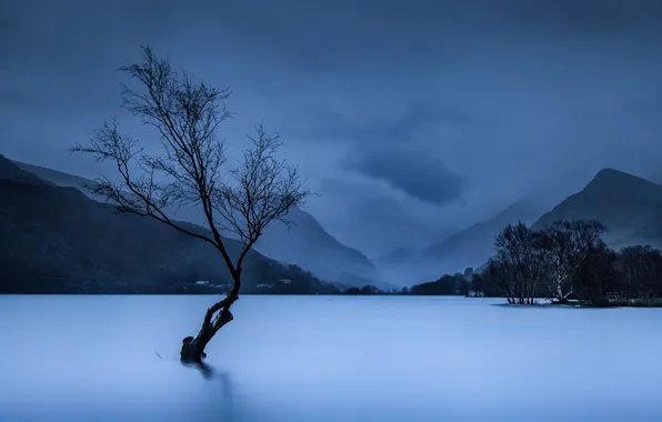 Картинка горы, озеро, дерево, Великобритания, Уэльс. Национальный парк Сноудония