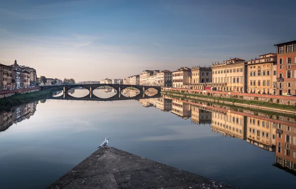 Картинка Florence, architecture, river Arno