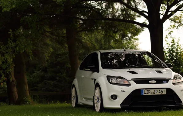 White, ford, team, focus