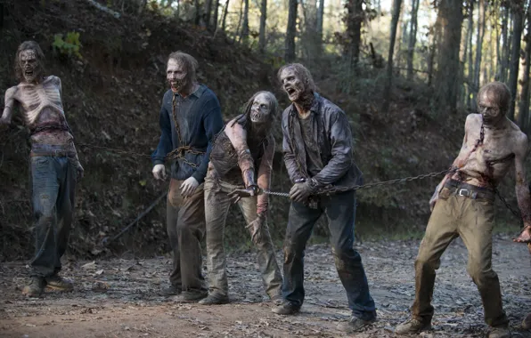 Засада, цепи, мертвецы, The Walking Dead, Ходячие мертвецы, Season 6
