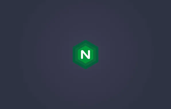 Logo, minimalism, server, web, nginx