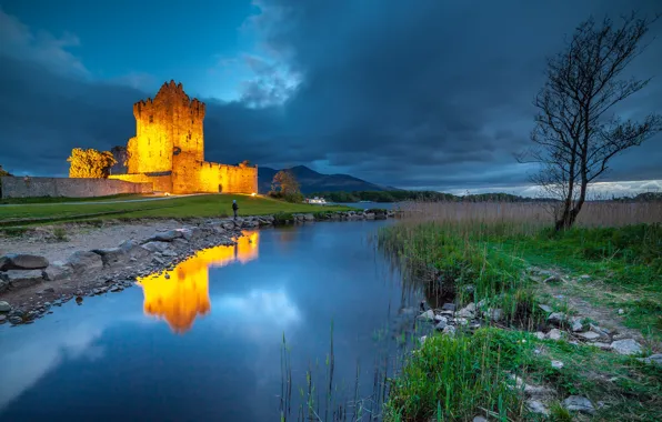 Озеро, отражение, замок, дерево, Ирландия, Ireland, Kerry, Керри