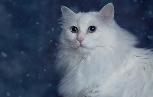 Картинка кошка, портрет, белая, пушистая, Турецкая ангора, Ангорка