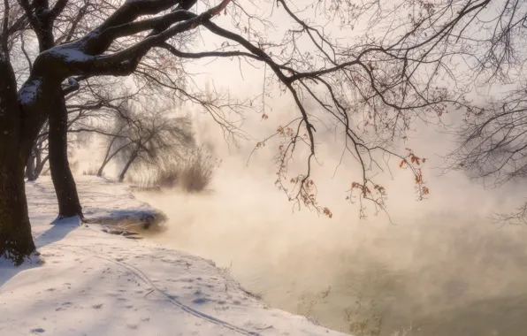 Зима, снег, деревья, пейзаж, природа, парк, водоём, Краснодар