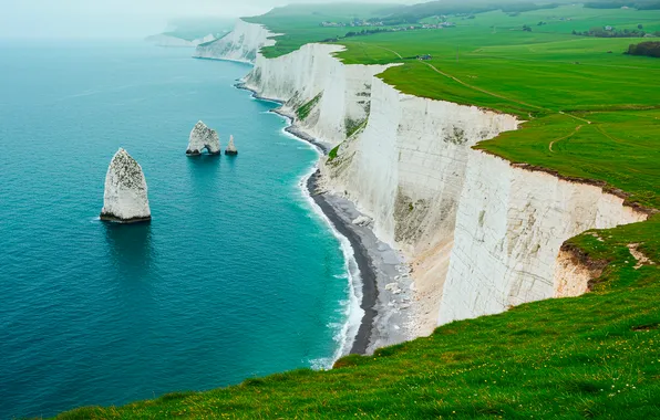 Трава, обрыв, океан, скалы, берег, grass, ocean, rocks