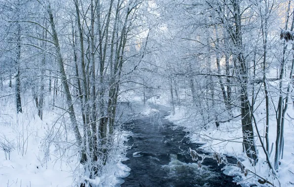 River, trees, winter, snow, branches, frosty