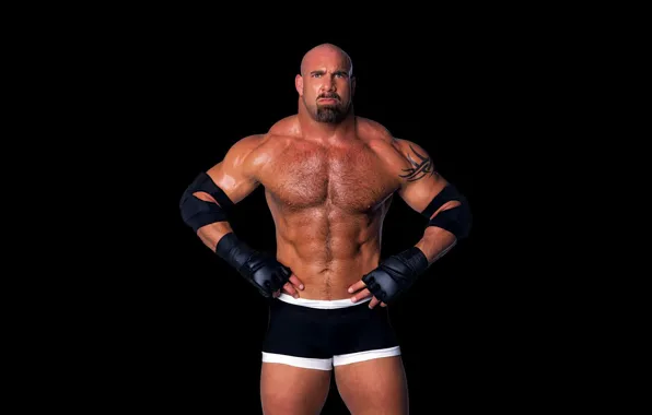 Тату, лысый, актер, actor, рестлер, tattoo, пресс, WWE