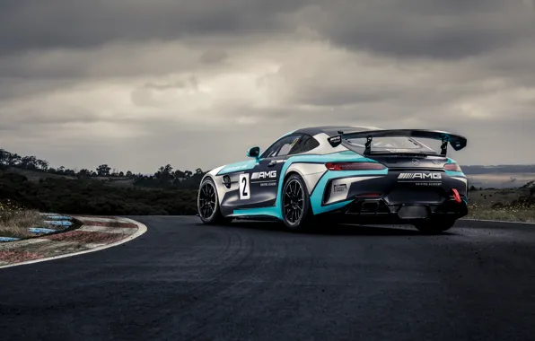 Mercedes-Benz, AMG, GT4, 2019