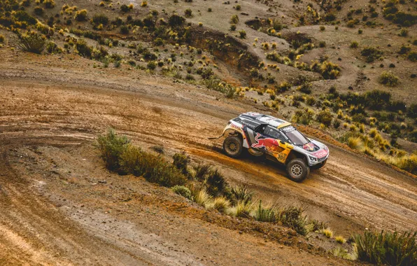 Песок, Спорт, Скорость, Поворот, Гонка, Peugeot, Фары, Red Bull