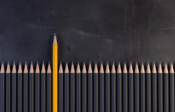Black, yellow, different, pencils
