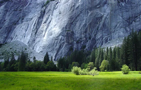 Картинка лес, травы, гранитные скалы, Йосемити