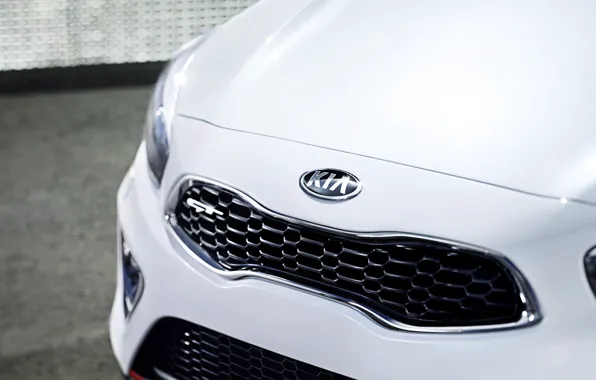 KIA, Pro Cee'd, пасть тигра, tiger nose