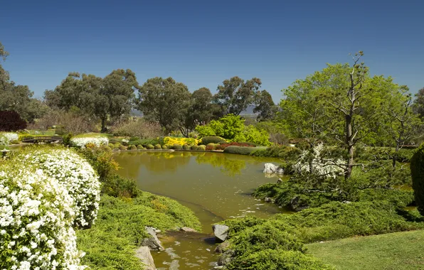 Деревья, пруд, камни, сад, Австралия, кусты, Cowra Japanese Garden