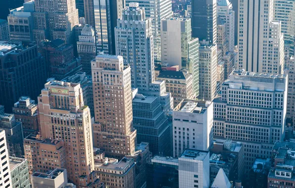 Картинка здания, высота, дома, Небоскребы, City, США, Нью Йорк, New York