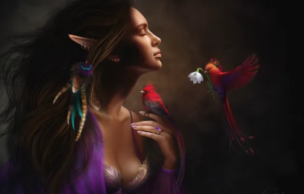 Картинка цветок, девушка, птицы, настроение, эльф, перья