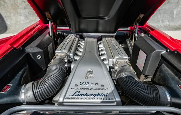 Картинка двигатель, Lamborghini, ламбо, V12, Diablo, engine, Lamborghini Diablo VT Roadster