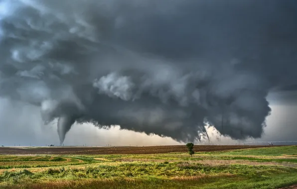 Картинка grass, storm, field, landscape, nature, clouds, tree, Tornado