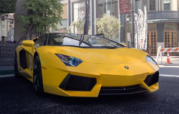 Lamborghini, yellow, street, Aventador