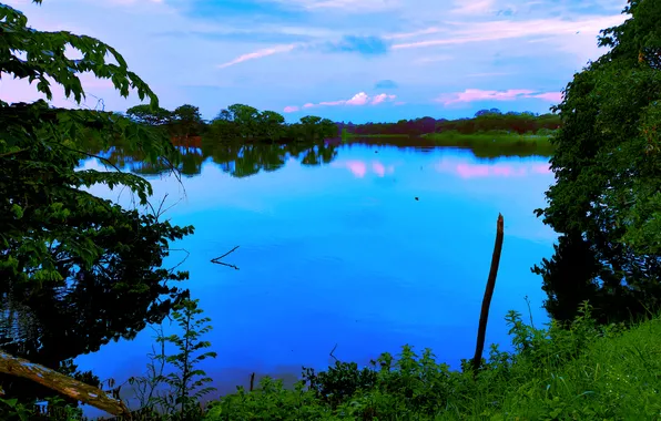 Sky, Grass, Water, Sunrise, Dawn, Morning, Lake, Trees
