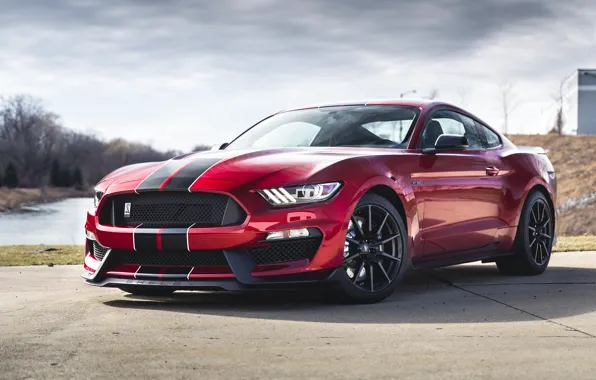 Mustang, Ford, Shelby, Форд, Мустанг, GT350, Шелби, Ford Mustang Shelby GT350