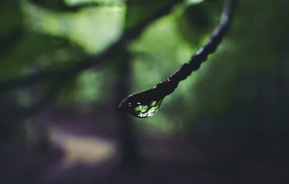 Вода, природа, nature, water, h2o, капли води.