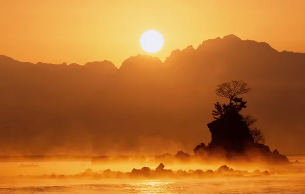 Картинка солнце, деревья, горы, туман, скала, камни, Япония, озеро Яманака
