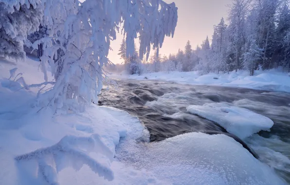 Зима, лес, снег, деревья, пейзаж, природа, река, мороз