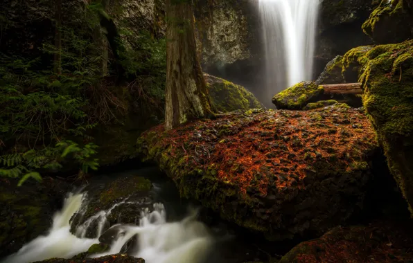 Waterfall, washington, Spring flow, yakima county