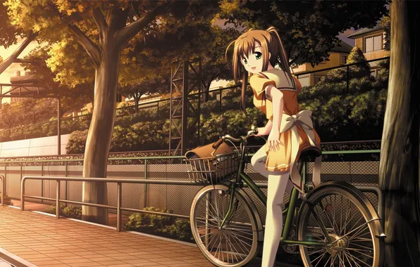 Картинка деревья, велосипед, аниме, девочка, тротуар