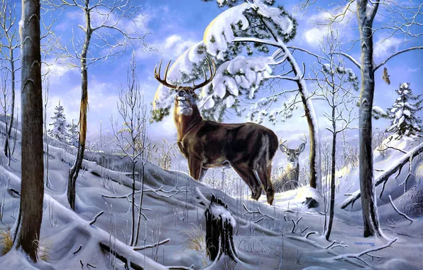 Картинка зима, лес, снег, деревья, олень, арт, Charles H. Denault