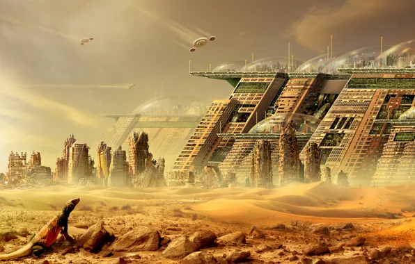 Futuristic, cityscapes, iguana