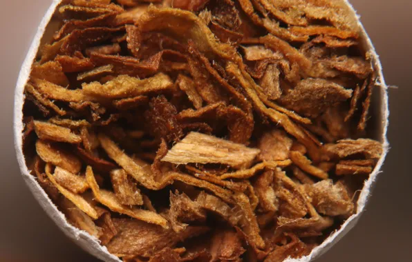 Бумага, макросъемка, сигарета, гильза, торец, курево