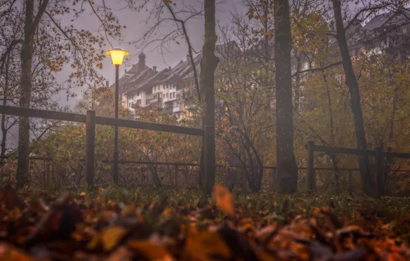 Осень, деревья, туман, здания, дома, Швейцария, фонарь, Switzerland
