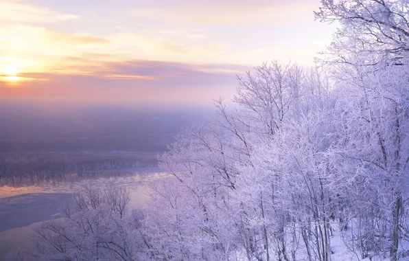 Картинка иней, снег, деревья, пейзаж, закат, природа, сиреновое небо