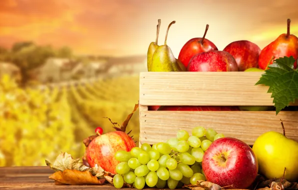 Картинка осень, яблоки, урожай, виноград, фрукты, ящик, груши