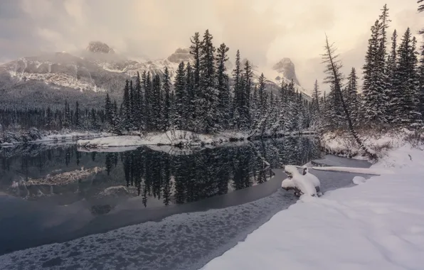 Картинка зима, лес, облака, снег, горы, озеро, отражение, берег