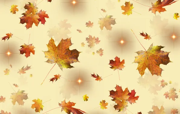 Golden, autumn, leaves, stars, season, fallen