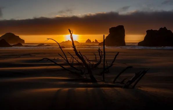 Море, ночь, берег