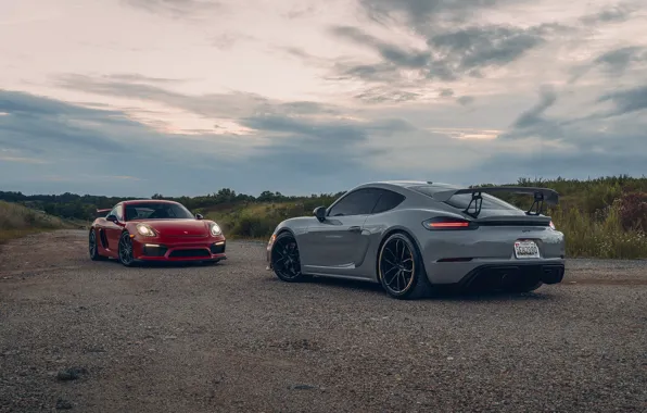Car, Porsche, road, field, sunlight, GT4, headlights, taillights