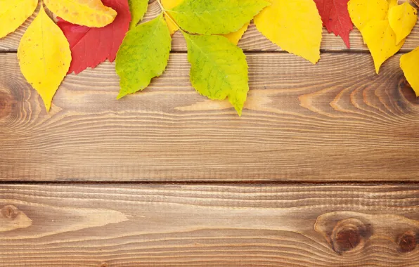 Фон, дерево, colorful, wood, texture, autumn, leaves, осенние листья