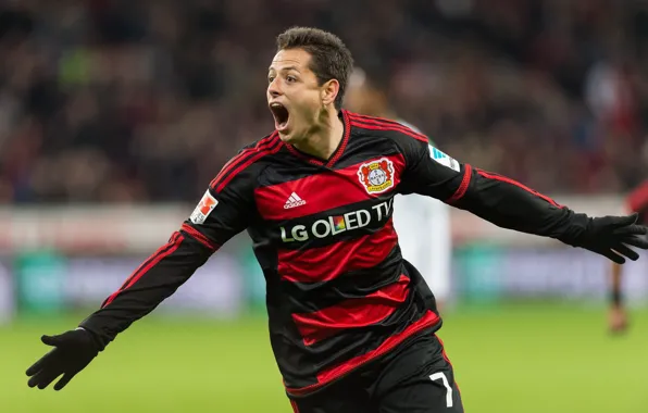 Mexican, Player, Javier Hernandez, Chicharito, Number, Bayer Leverkusen